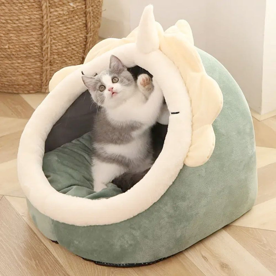cat bed